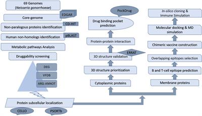 Computer-aided genomic data analysis of drug-resistant Neisseria gonorrhoeae for the Identification of alternative therapeutic targets